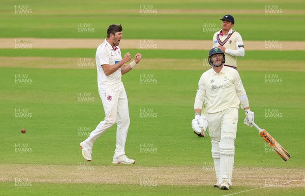 110526 - Glamorgan v Somerset, Rothesay County Championship Division 1, Day 4 of 4 - Craig Overton of Somerset celebrates after taking the wicket of Timm van der Gugten of Glamorgan