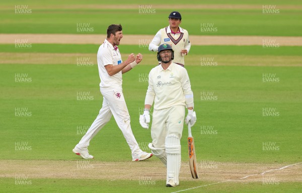 110526 - Glamorgan v Somerset, Rothesay County Championship Division 1, Day 4 of 4 - Craig Overton of Somerset celebrates after taking the wicket of Timm van der Gugten of Glamorgan