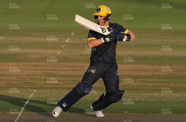 160721 - Glamorgan v Somerset - Vitality Blast - David Lloyd of Glamorgan batting