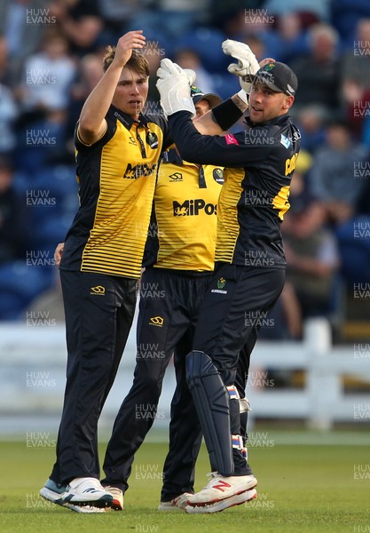 180719 - Glamorgan Cricket v Somerset - Vitality Blast - Dan Douthwaite of Glamorgan celebrates with team mates after Babar Azam is caught out by Michael Hogan