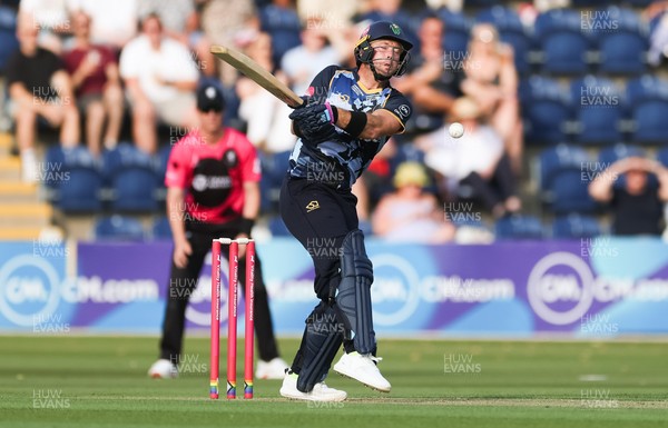 200625 - Glamorgan v Somerset, Vitality Blast  T20 - Colin Ingram of Glamorgan reacts after being struck by the ball