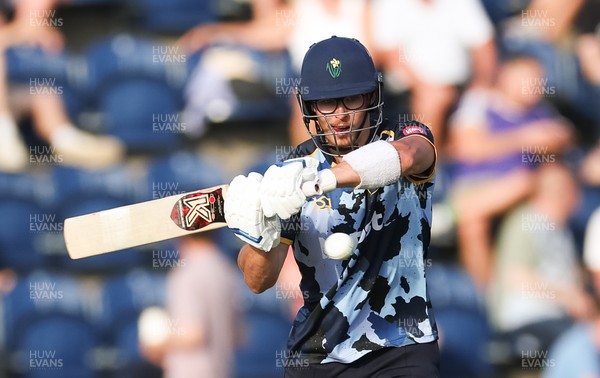 200625 - Glamorgan v Somerset, Vitality Blast  T20 - Asa Tribe of Glamorgan plays a shot
