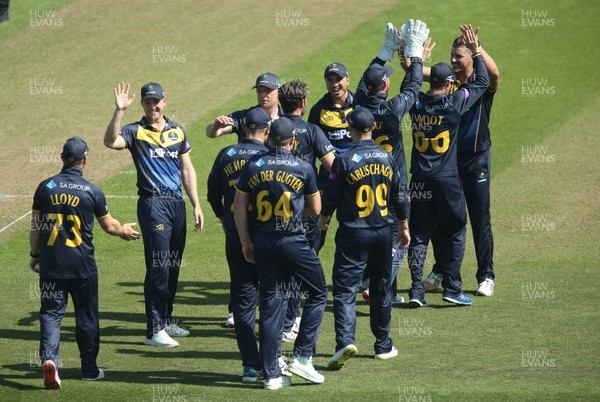 210419 - Glamorgan v Somerset, Royal London One Day Cup - Glamorgan players celebrate after taking the wicket of Azhar Ali of Somerset