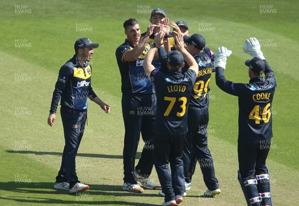 210419 - Glamorgan v Somerset, Royal London One Day Cup - Marchant de Lange of Glamorgan celebrates with team mates after taking the wicket of Tom Banton of Somerset