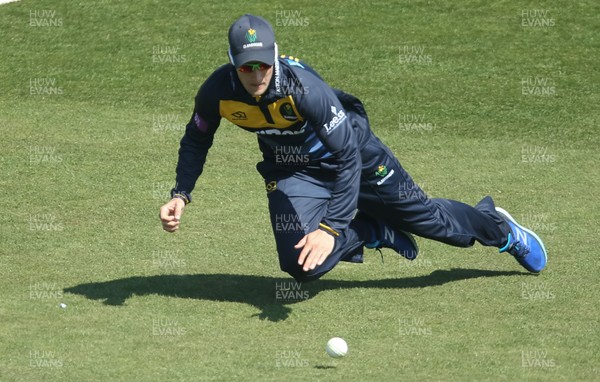 210419 - Glamorgan v Somerset, Royal London One Day Cup - Billy Root of Glamorgan dives in to prevent the ball reaching the boundary