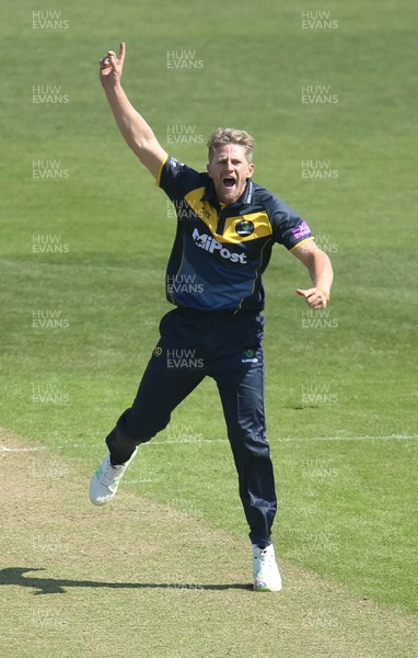 210419 - Glamorgan v Somerset, Royal London One Day Cup - Timm van der Gugten of Glamorgan appeals for the wicket of Peter Trego of Somerset