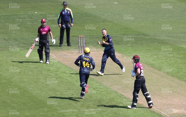 210419 - Glamorgan v Somerset, Royal London One Day Cup - Marnus Labuschagne of Glamorgan and Chris Cooke of Glamorgan celebrate after taking the wicket of Tom Abell of Somerset