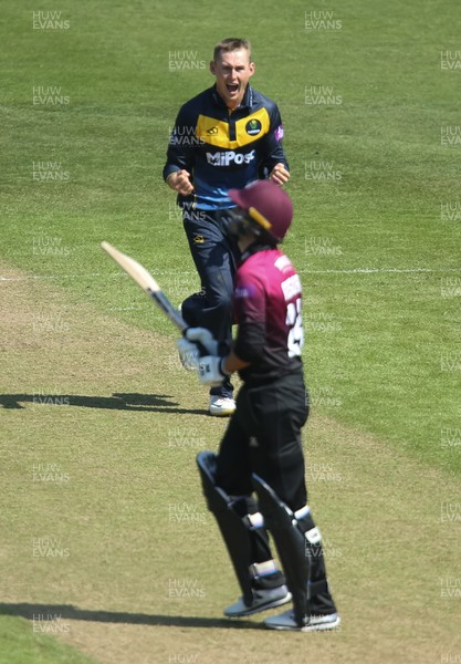 210419 - Glamorgan v Somerset, Royal London One Day Cup - Marnus Labuschagne of Glamorgan celebrates after bowling Lewis Gregory of Somerset for 1