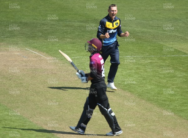210419 - Glamorgan v Somerset, Royal London One Day Cup - Marnus Labuschagne of Glamorgan celebrates after bowling Lewis Gregory of Somerset for 1
