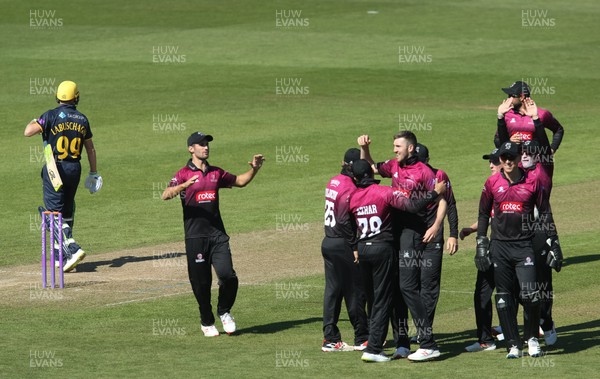 210419 - Glamorgan v Somerset, Royal London One Day Cup - Somerset players celebrate as Marnus Labuschagne of Glamorgan is out lbw