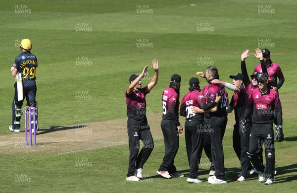 210419 - Glamorgan v Somerset, Royal London One Day Cup - Somerset players celebrate as Marnus Labuschagne of Glamorgan is out lbw