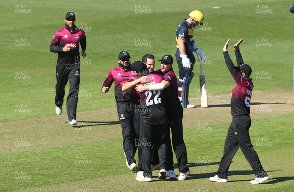 210419 - Glamorgan v Somerset, Royal London One Day Cup - Somerset players celebrate taking the wicket of Chris Cooke of Glamorgan