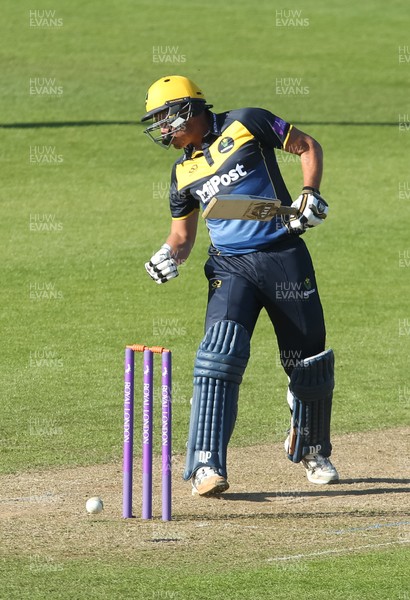 210419 - Glamorgan v Somerset, Royal London One Day Cup - Marchant de Lange of Glamorgan recoils after a blow to the head by the ball