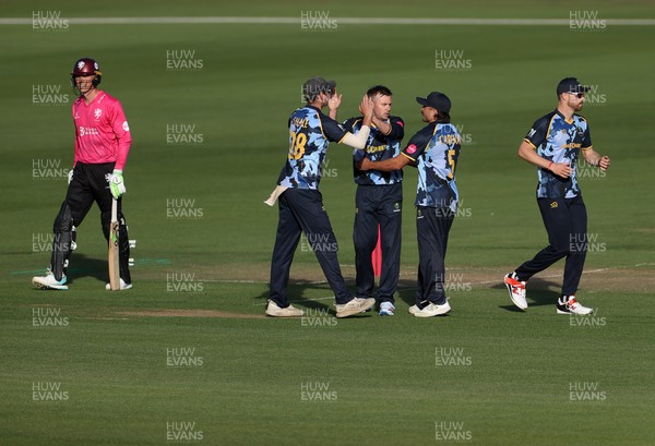 290526 - Glamorgan v Somerset - Vitality Blast - Mason Crane of Glamorgan celebrates taking the wicket of Tom Banton 