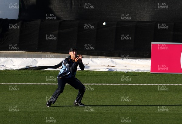 290526 - Glamorgan v Somerset - Vitality Blast - Henry Hurle of Glamorgan catches the ball to dismiss Lewis Goldsworthy