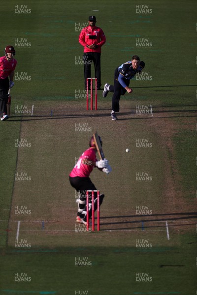 290526 - Glamorgan v Somerset - Vitality Blast - Dan Douthwaite of Glamorgan