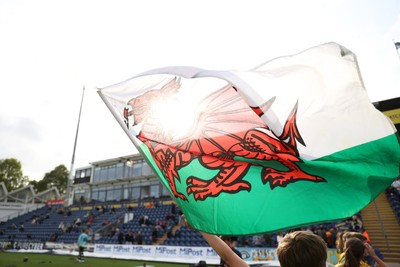 030625 - Glamorgan Cricket v Surrey - Vitality T20 Blast - Welsh flag