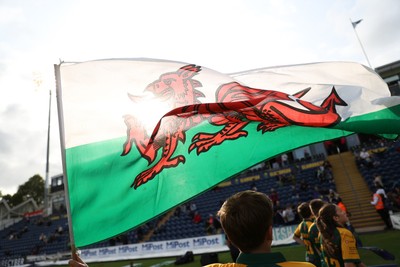 030625 - Glamorgan Cricket v Surrey - Vitality T20 Blast - Welsh flag