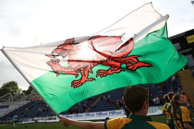 030625 - Glamorgan Cricket v Surrey - Vitality T20 Blast - Welsh flag