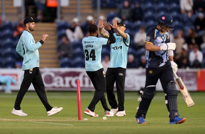 030625 - Glamorgan Cricket v Surrey - Vitality T20 Blast - Chris Jordan of Surrey celebrates taking the wicket of Asa Tribe of Glamorgan