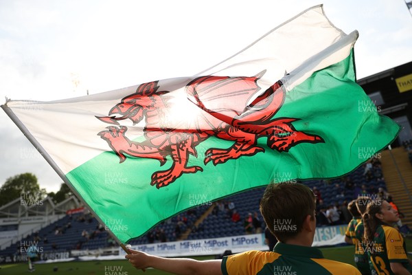 030625 - Glamorgan Cricket v Surrey - Vitality T20 Blast - Welsh flag