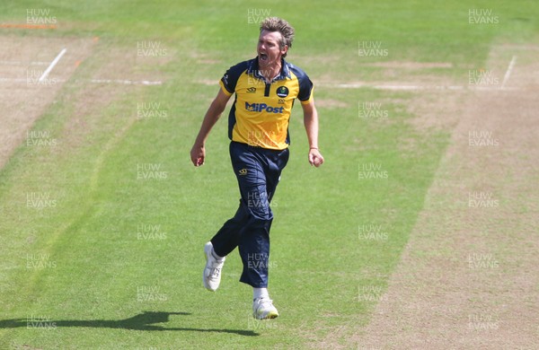 030821 - Glamorgan v Surrey, Royal London One Day Cup - Michael Hogan of Glamorgan celebrates after Mark Stoneman of Surrey is caught by Nick Selman of Glamorgan off his bowling with the first ball of the match