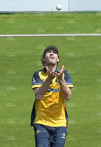 030821 - Glamorgan v Surrey, Royal London One Day Cup - Nick Selman of Glamorgan catches Tim David of Surrey off the bowling of Andrew Salter