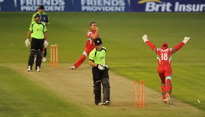 09.07.10 - Glamorgan Dragons v Surrey Lions - Friends Provident Twenty20 - Robert Croft of Glamorgan celebrates taking the wicket of Rory Hamilton-Brown of Surrey. 