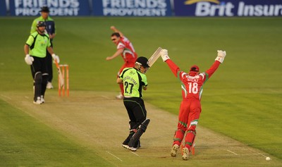 09.07.10 - Glamorgan Dragons v Surrey Lions - Friends Provident Twenty20 - Robert Croft of Glamorgan celebrates taking the wicket of Rory Hamilton-Brown of Surrey. 