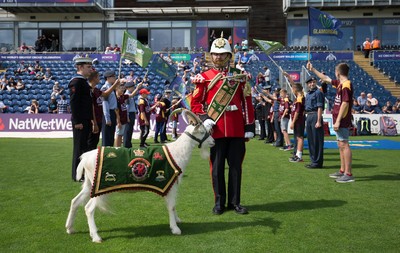 110819 - Glamorgan v Surrey, Vitality Blast - Shenkin the mascot of the 3rd Battalion The Royal Welsh Regiment leads the team out at the start of the match