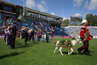 110819 - Glamorgan v Surrey, Vitality Blast - Shenkin the mascot of the 3rd Battalion The Royal Welsh Regiment leads the team out at the start of the match