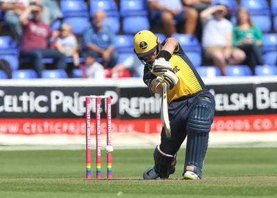 110819 - Glamorgan v Surrey, Vitality Blast - David Lloyd of Glamorgan plays a shot