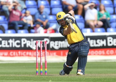 110819 - Glamorgan v Surrey, Vitality Blast - David Lloyd of Glamorgan plays a shot