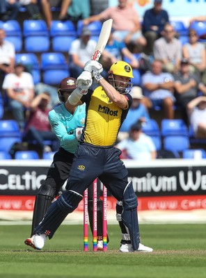 110819 - Glamorgan v Surrey, Vitality Blast - Shaun Marsh of Glamorgan plays a shot