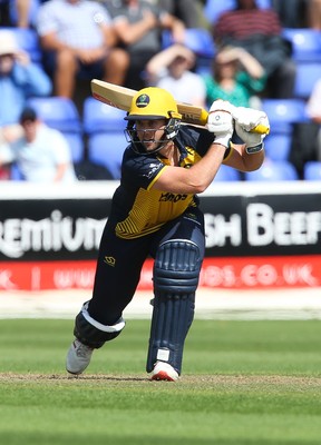 110819 - Glamorgan v Surrey, Vitality Blast - Chris Cooke of Glamorgan plays a shot