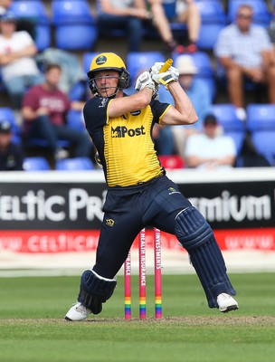 110819 - Glamorgan v Surrey, Vitality Blast - Graham Wagg of Glamorgan hits a four