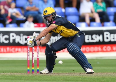 110819 - Glamorgan v Surrey, Vitality Blast - Graham Wagg of Glamorgan hits a four