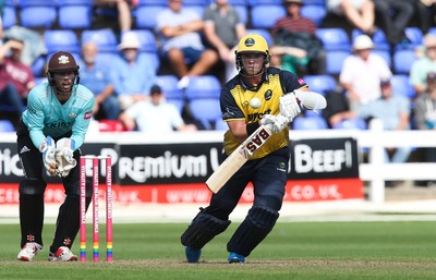 110819 - Glamorgan v Surrey, Vitality Blast - Dan Douthwaite of Glamorgan plays a shot