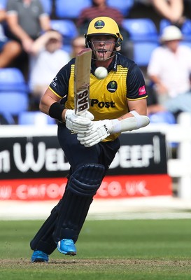 110819 - Glamorgan v Surrey, Vitality Blast - Dan Douthwaite of Glamorgan plays a shot