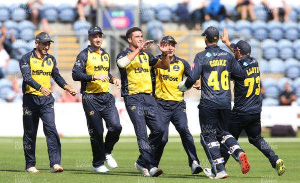 110819 - Glamorgan v Surrey, Vitality Blast - Ruaidhri Smith of Glamorgan celebrates taking the wicket of Aaron Finch of Surrey as he is caught by Chris Cooke of Glamorgan