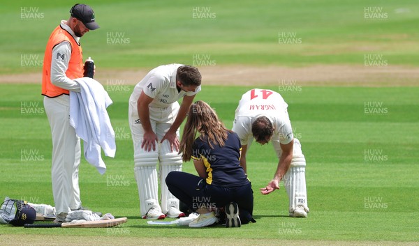 190626 - Glamorgan v Surrey, Rothesay County Championship Division 1- Colin Ingram of Glamorgan receives treatment to a hand injury before being forced to retire Not Out