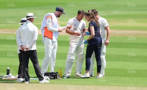 190626 - Glamorgan v Surrey, Rothesay County Championship Division 1- Colin Ingram of Glamorgan receives treatment to a hand injury before being forced to retire Not Out