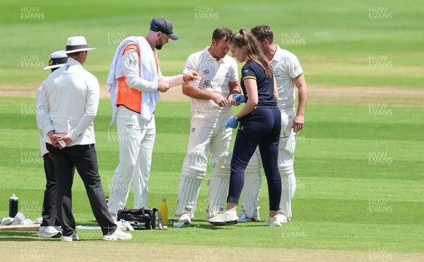 190626 - Glamorgan v Surrey, Rothesay County Championship Division 1- Colin Ingram of Glamorgan receives treatment to a hand injury before being forced to retire Not Out