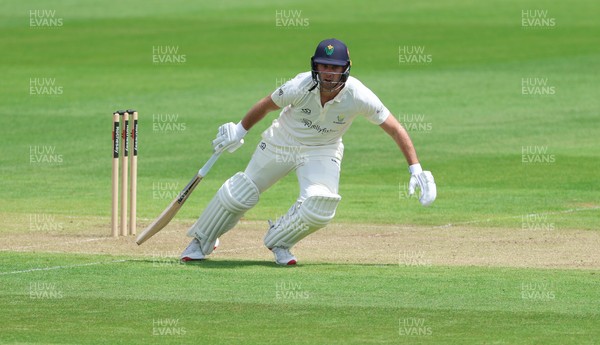 190626 - Glamorgan v Surrey, Rothesay County Championship Division 1- Chris Cooke of Glamorgan adds runs to the Glamorgan total