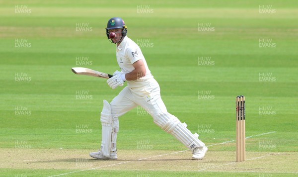 190626 - Glamorgan v Surrey, Rothesay County Championship Division 1- Colin Ingram of Glamorgan plays a shot