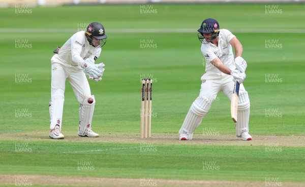 190626 - Glamorgan v Surrey, Rothesay County Championship Division 1- Chris Cooke of Glamorgan  plays a shot
