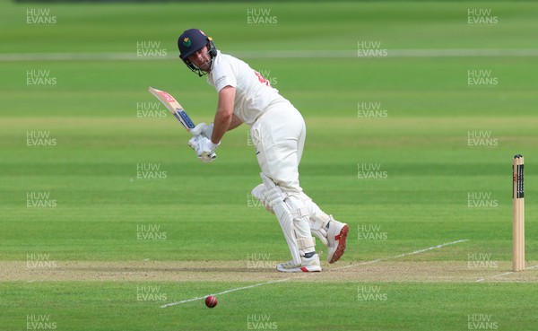 190626 - Glamorgan v Surrey, Rothesay County Championship Division 1- Chris Cooke of Glamorgan  plays a shot