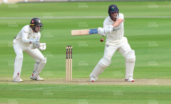 190626 - Glamorgan v Surrey, Rothesay County Championship Division 1- Chris Cooke of Glamorgan  plays a shot