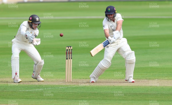 190626 - Glamorgan v Surrey, Rothesay County Championship Division 1- Chris Cooke of Glamorgan  plays a shot