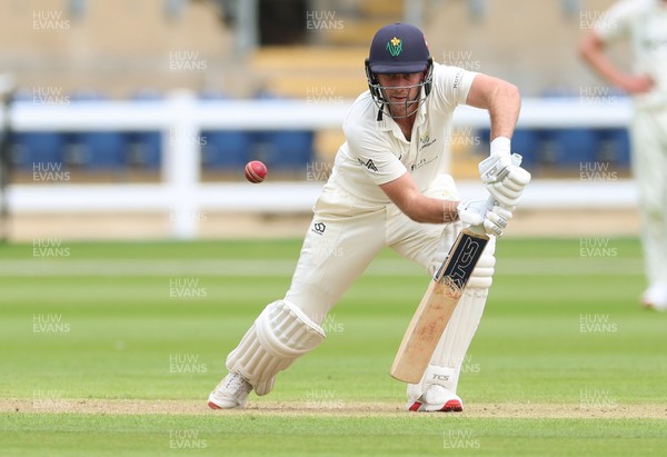 190626 - Glamorgan v Surrey, Rothesay County Championship Division 1- Chris Cooke of Glamorgan plays a shot